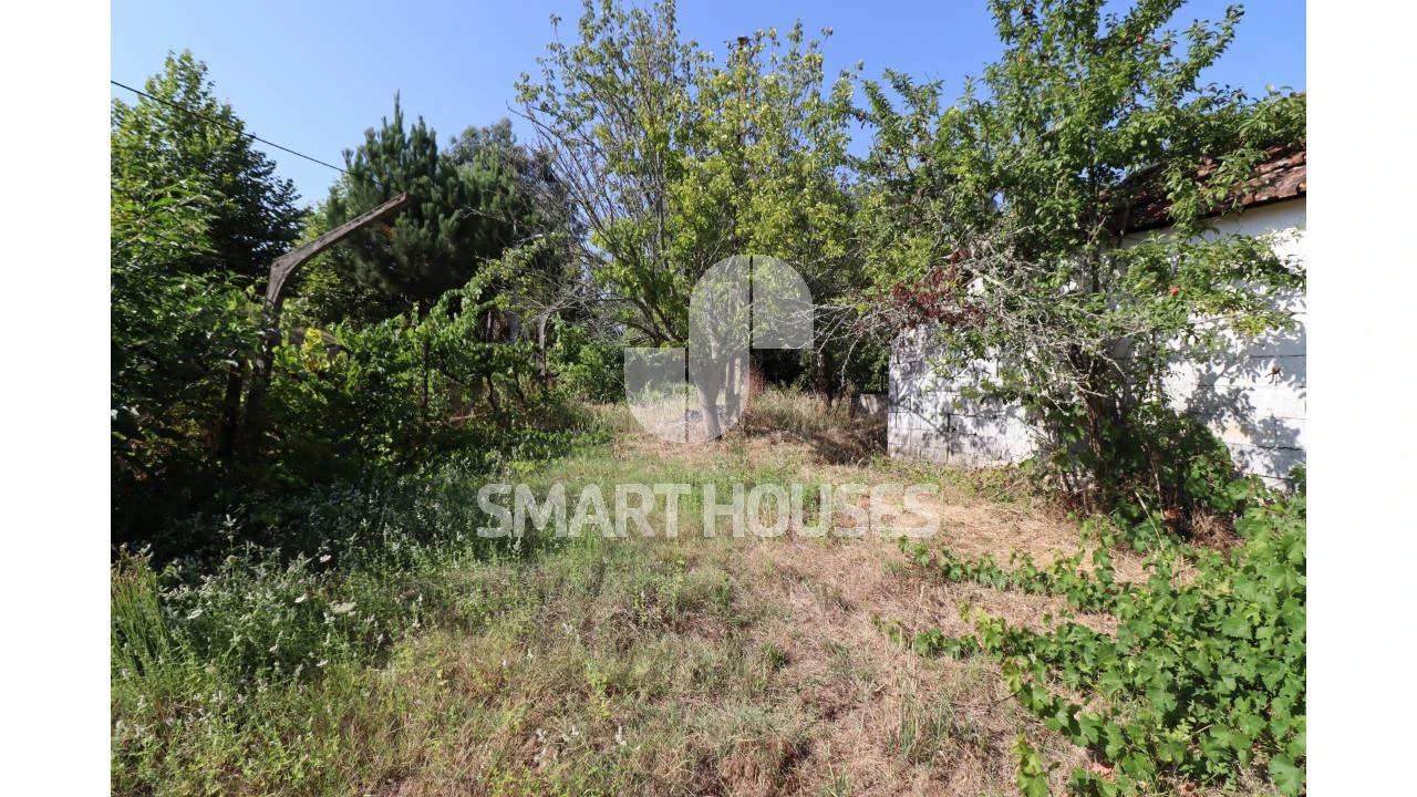 Moradia T2 para Venda em Santa Comba Dão e Couto do Mosteiro Foto 26