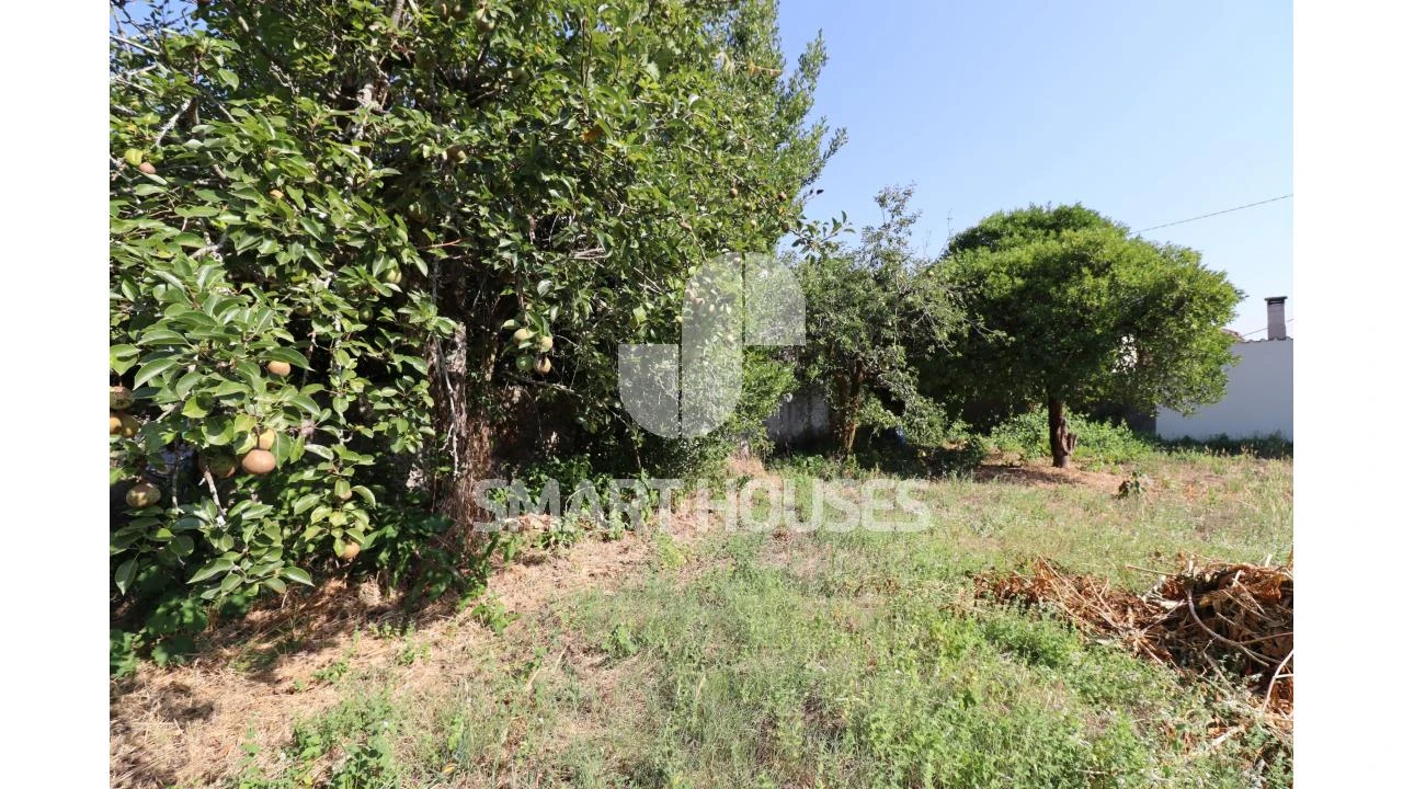 Moradia T2 para Venda em Santa Comba Dão e Couto do Mosteiro Foto 27