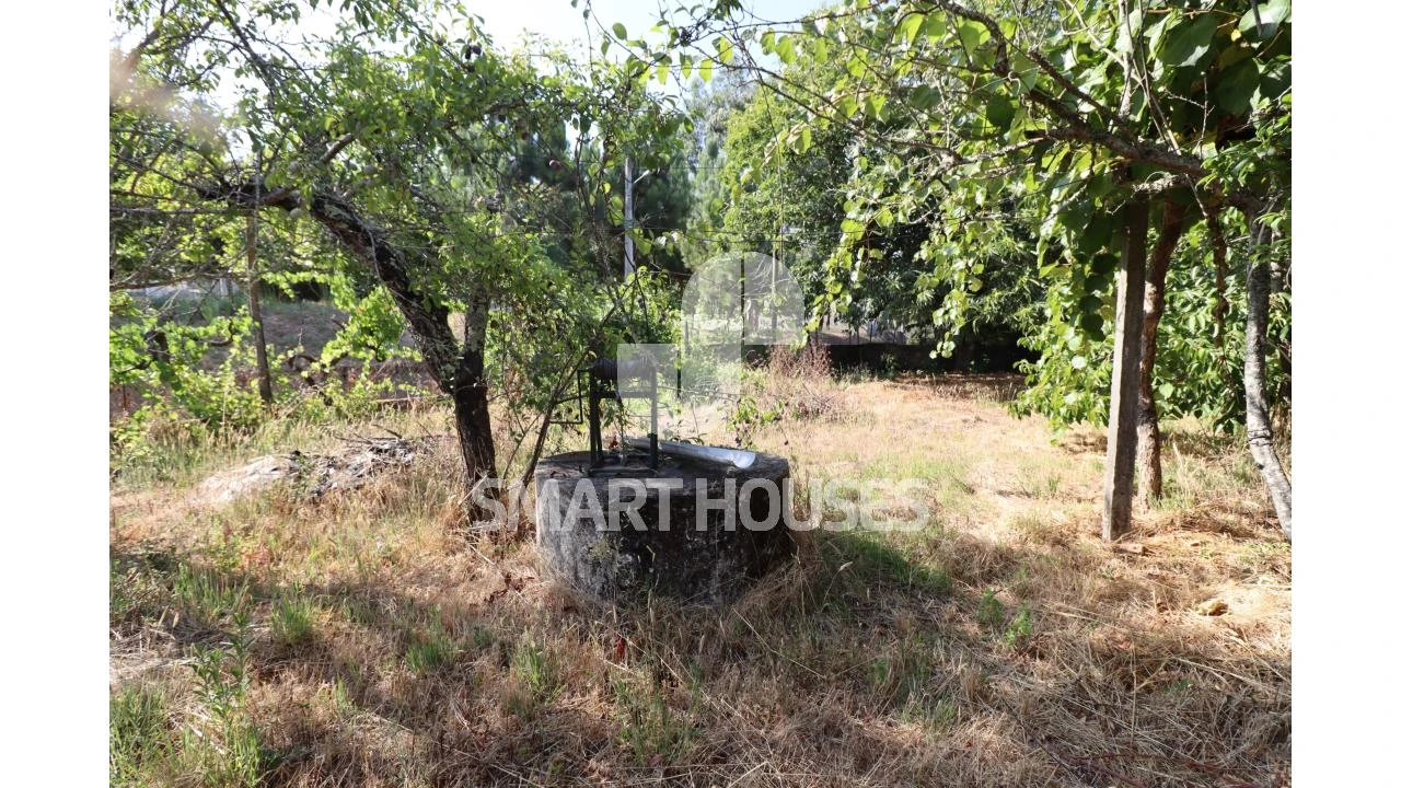 Moradia T2 para Venda em Santa Comba Dão e Couto do Mosteiro Foto 29