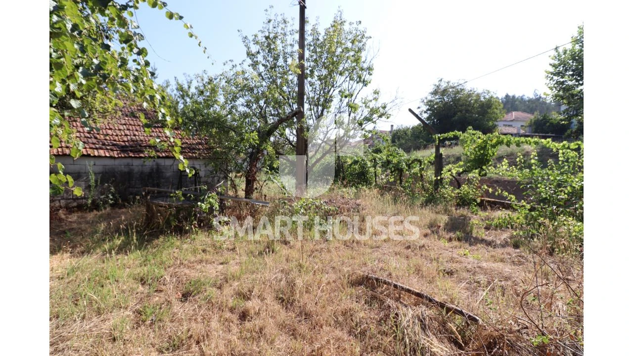 Moradia T2 para Venda em Santa Comba Dão e Couto do Mosteiro Foto 30