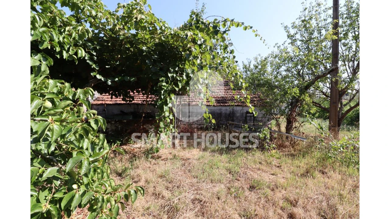 Moradia T2 para Venda em Santa Comba Dão e Couto do Mosteiro Foto 31