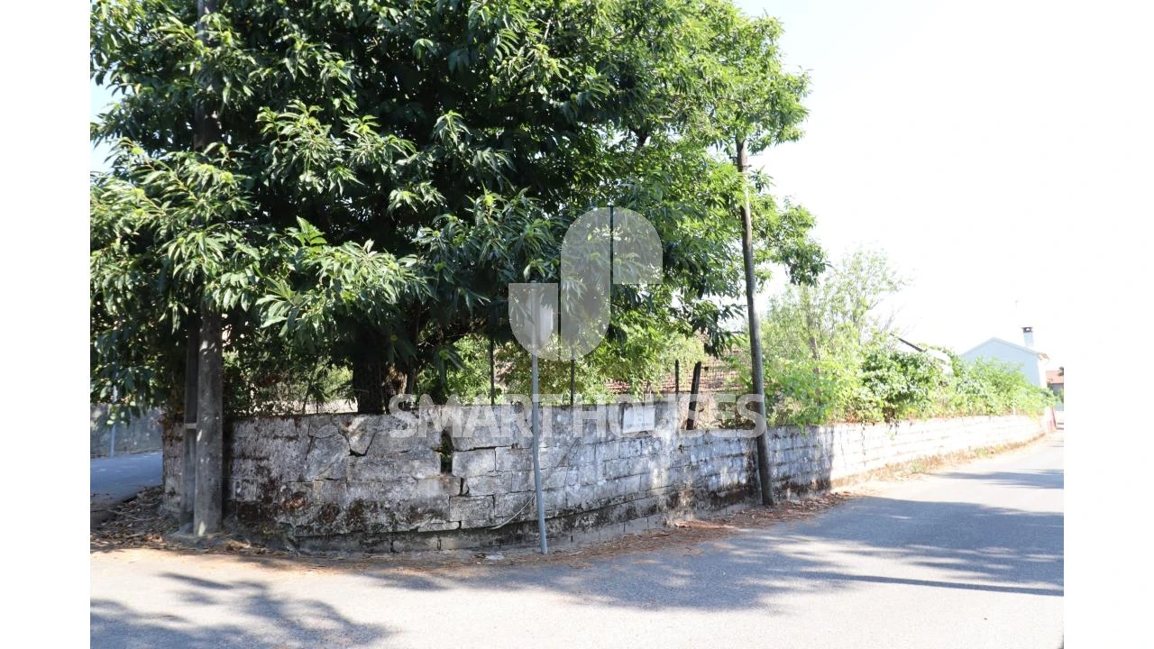 Moradia T2 para Venda em Santa Comba Dão e Couto do Mosteiro Foto 37