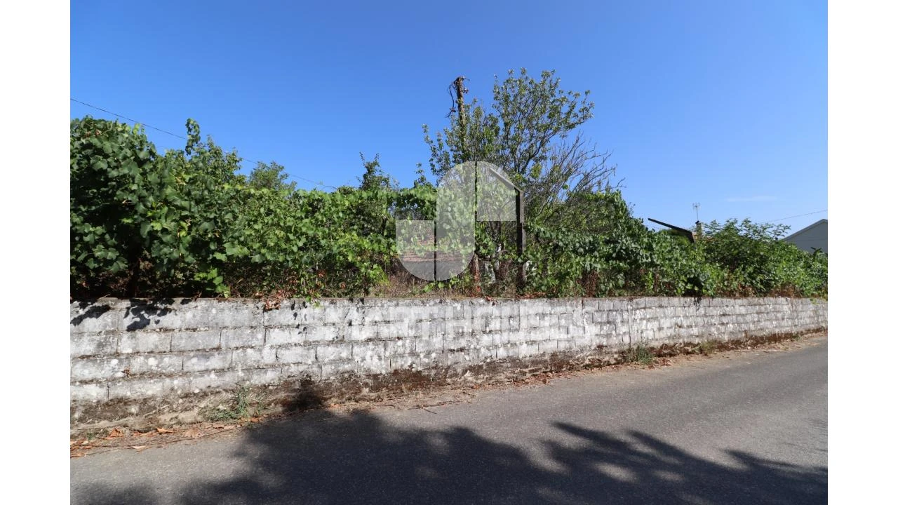 Moradia T2 para Venda em Santa Comba Dão e Couto do Mosteiro Foto 38