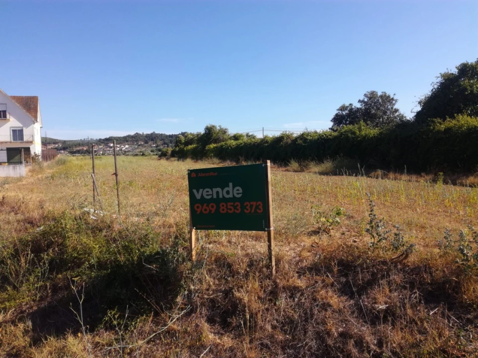 Terreno Agricola ou Rústico para Venda em Alvega e Concavada Foto 1