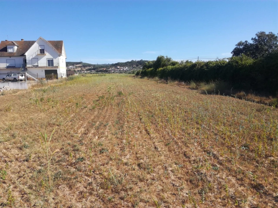 Terreno Agricola ou Rústico para Venda em Alvega e Concavada Foto 2