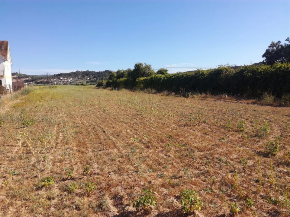 Terreno Agricola ou Rústico para Venda em Alvega e Concavada Foto 3