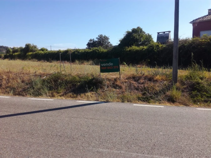Terreno Agricola ou Rústico para Venda em Alvega e Concavada Foto 4