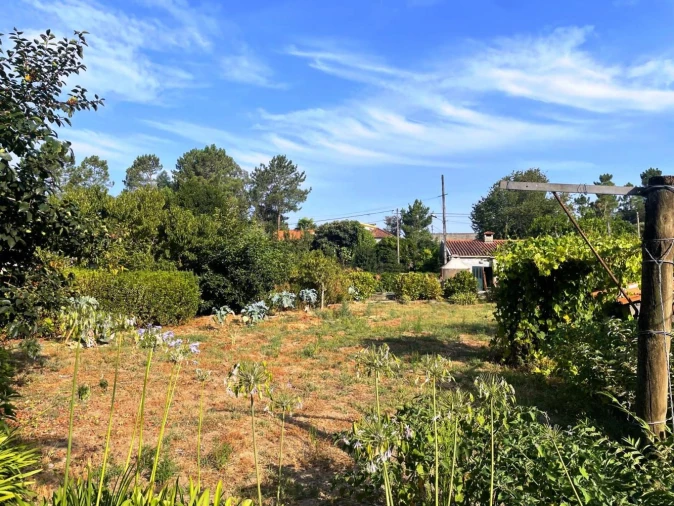 Moradia T4 para Venda em Lago Foto 46