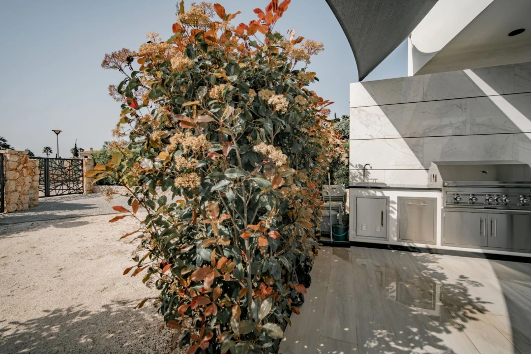 Moradia T4 para Venda em Lagoa e Carvoeiro Foto 23