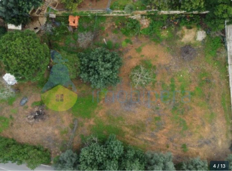 Terreno para Venda em Alcantarilha e Pêra Foto 6