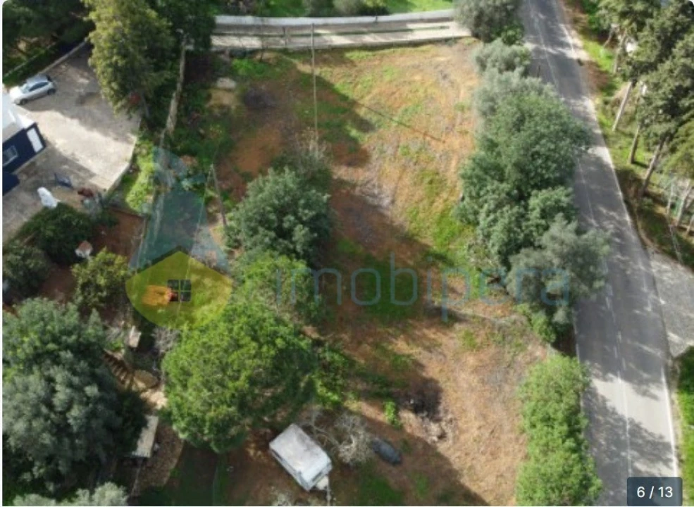 Terreno para Venda em Alcantarilha e Pêra Foto 8