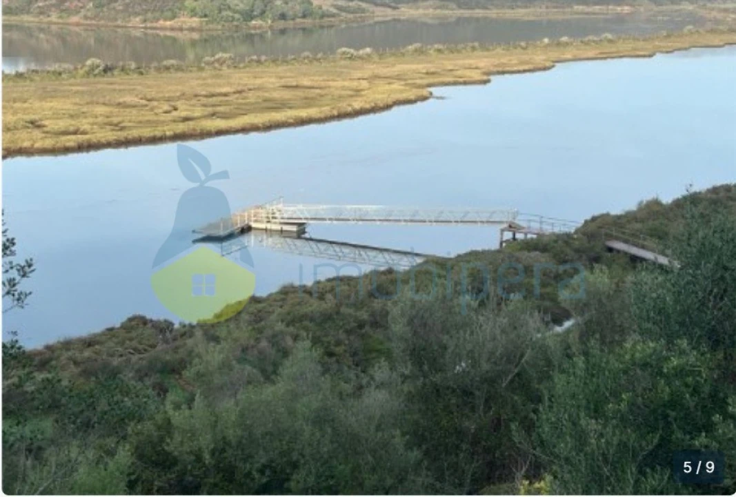 Terreno Agricola ou Rústico para Venda em Silves Foto 3