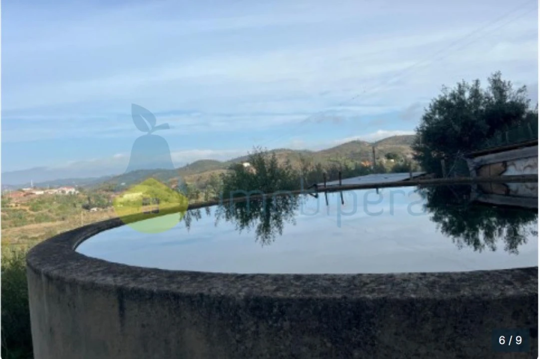 Terreno Agricola ou Rústico para Venda em Silves Foto 4