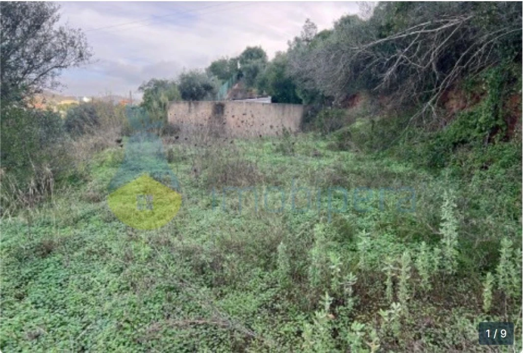 Terreno Agricola ou Rústico para Venda em Silves Foto 6