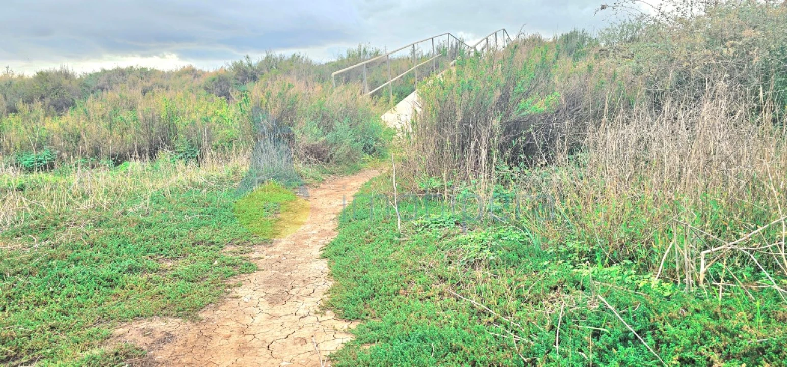 Terreno Agricola ou Rústico para Venda em Silves Foto 11