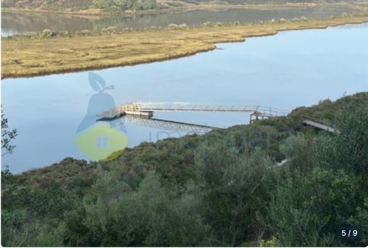 Terreno Agricola ou Rústico para Venda em Silves Foto 3