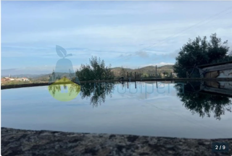 Terreno Agricola ou Rústico para Venda em Silves Foto 5
