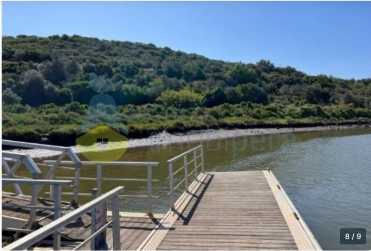 Terreno Agricola ou Rústico para Venda em Silves Foto 2