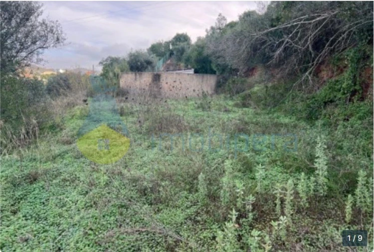 Terreno Agricola ou Rústico para Venda em Silves Foto 6