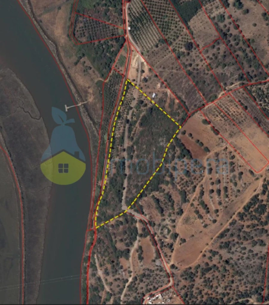 Terreno Agricola ou Rústico para Venda em Silves Foto 19