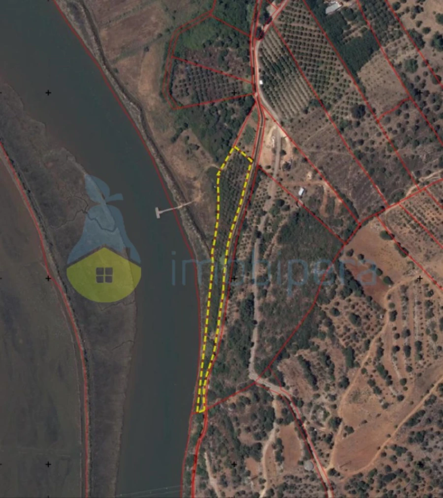 Terreno Agricola ou Rústico para Venda em Silves Foto 20