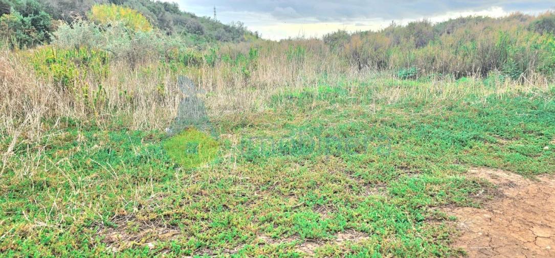 Terreno Agricola ou Rústico para Venda em Silves Foto 12