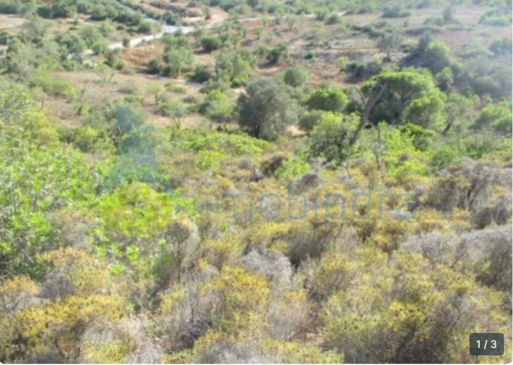 Terreno Agricola ou Rústico para Venda em Boliqueime Foto 1