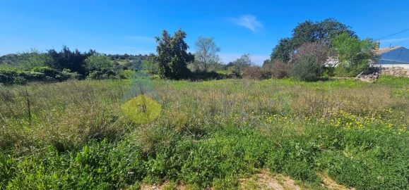 Terreno para Venda em Paderne