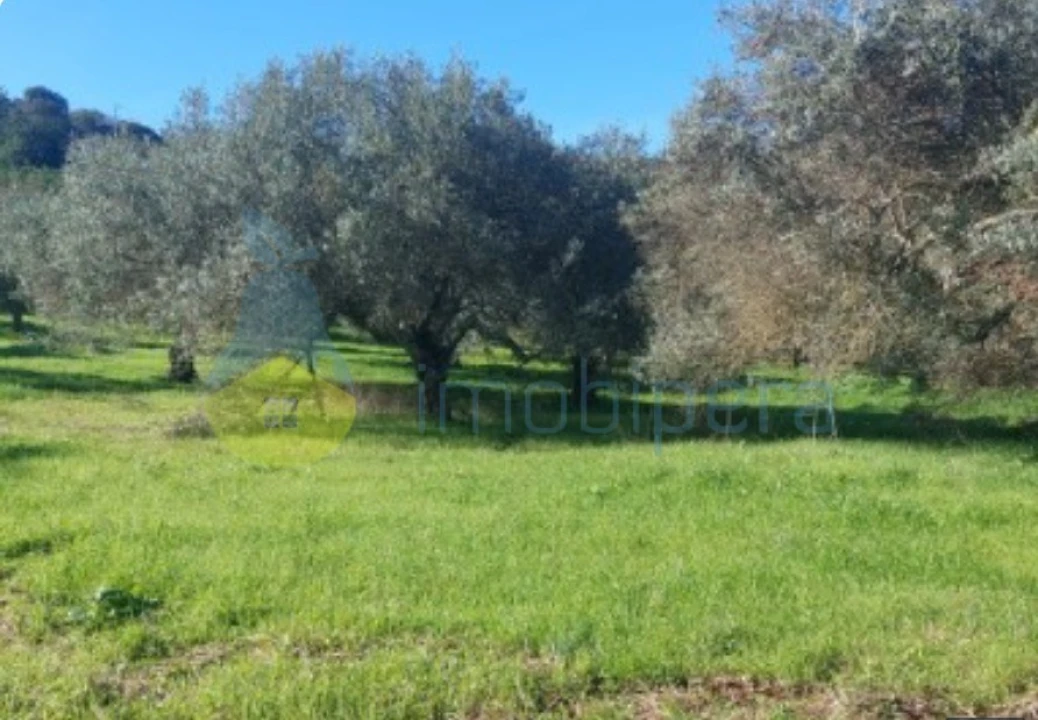 Terreno Agricola ou Rústico para Venda em Alte Foto 7