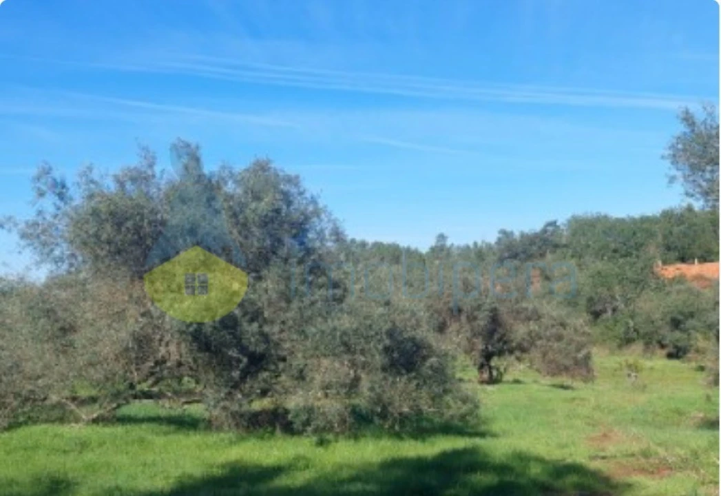 Terreno Agricola ou Rústico para Venda em Alte Foto 9