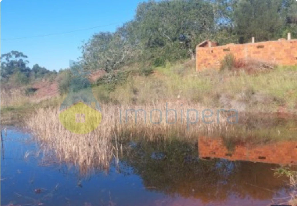 Terreno Agricola ou Rústico para Venda em Alte Foto 3