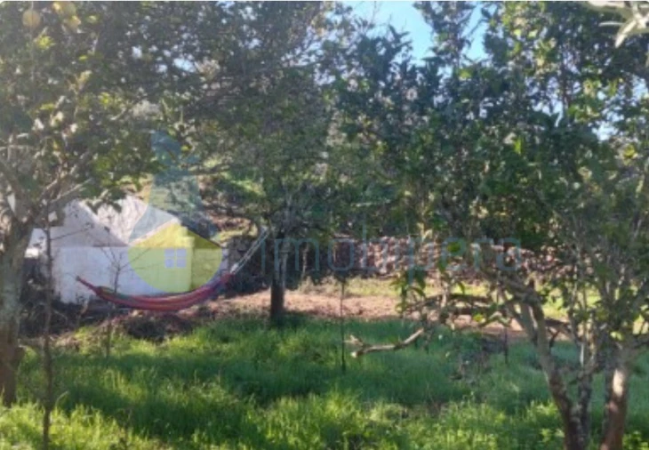 Terreno Agricola ou Rústico para Venda em Alte Foto 4