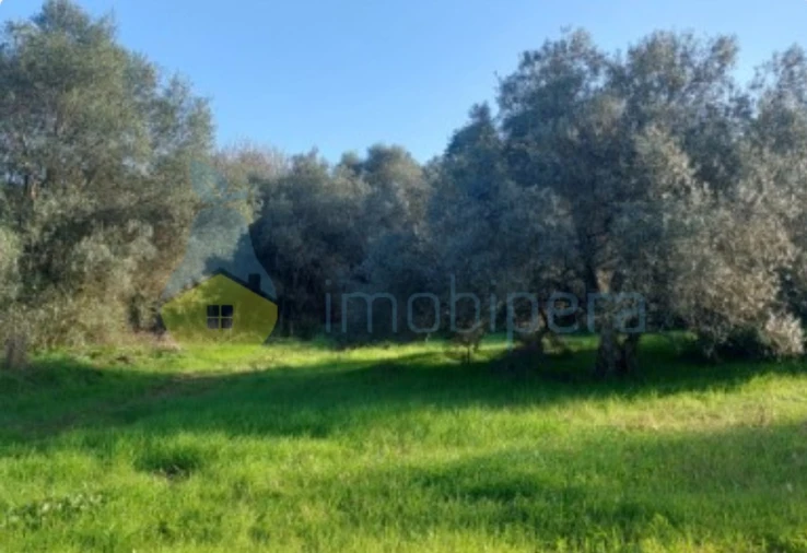 Terreno Agricola ou Rústico para Venda em Alte Foto 5
