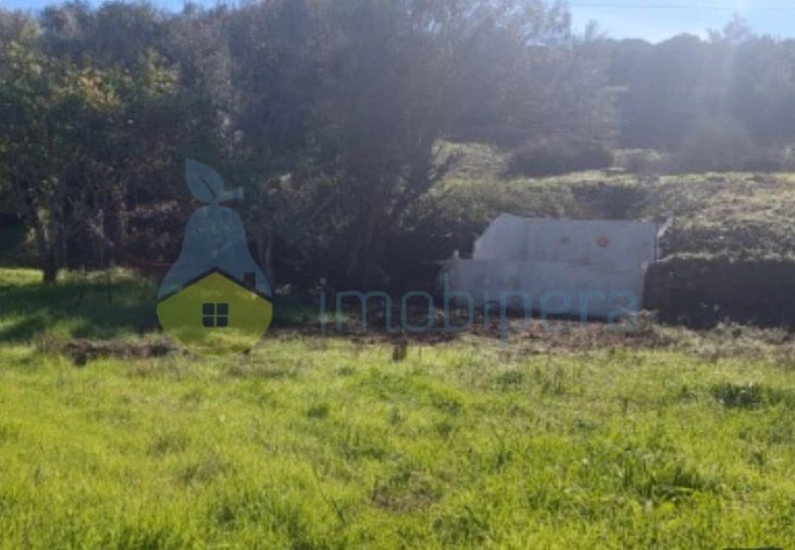 Terreno Agricola ou Rústico para Venda em Alte Foto 10