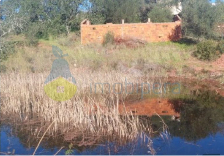 Terreno Agricola ou Rústico para Venda em Alte Foto 2