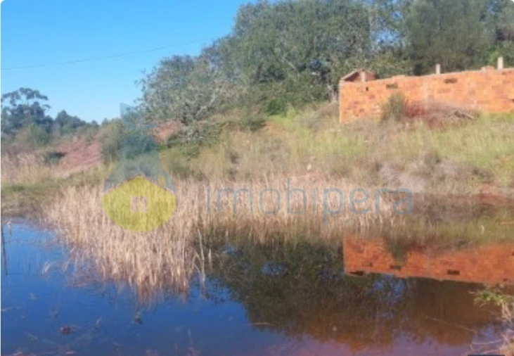 Terreno Agricola ou Rústico para Venda em Alte Foto 3
