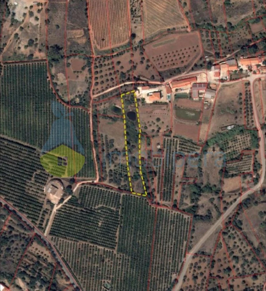 Terreno Agricola ou Rústico para Venda em Alte Foto 12