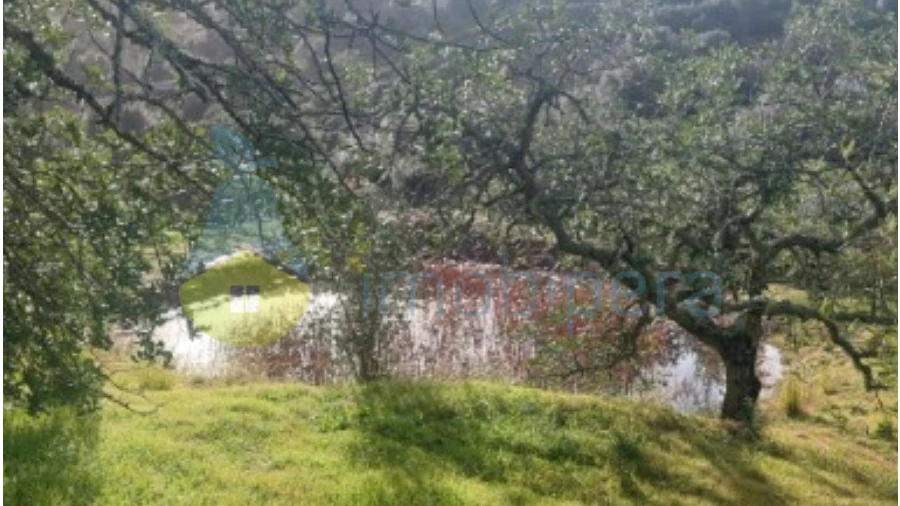 Terreno Agricola ou Rústico para Venda em Alte