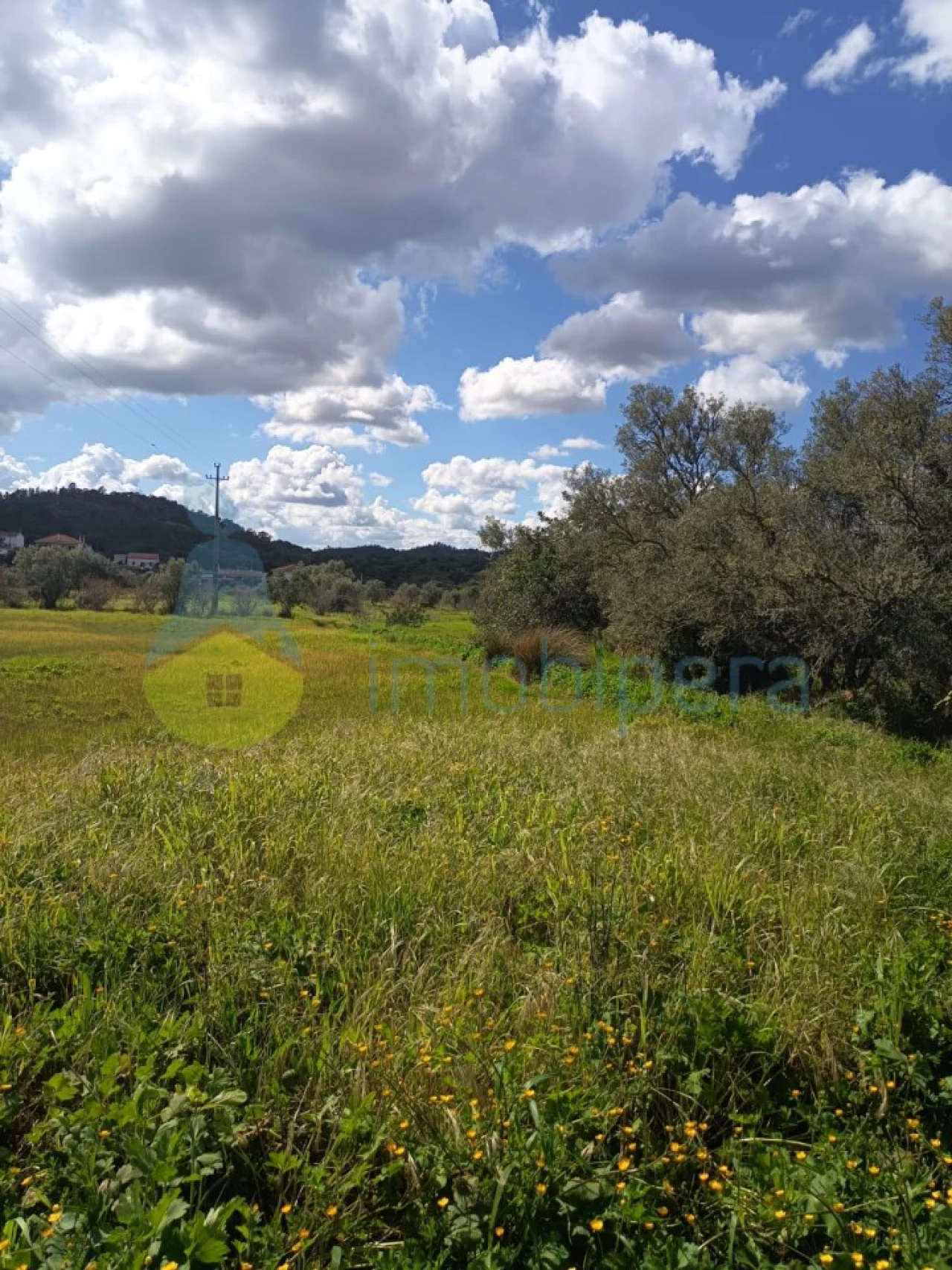 Terreno Agricola ou Rústico para Venda em Alte Foto 3