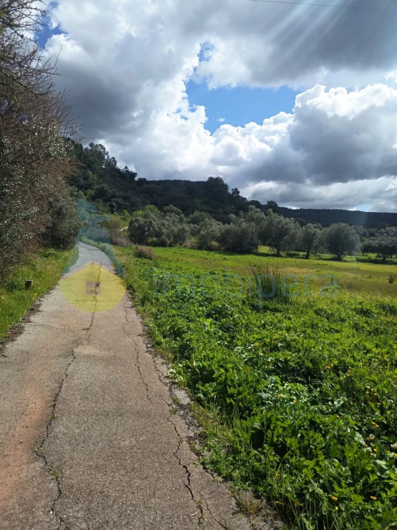 Terreno Agricola ou Rústico para Venda em Alte Foto 5