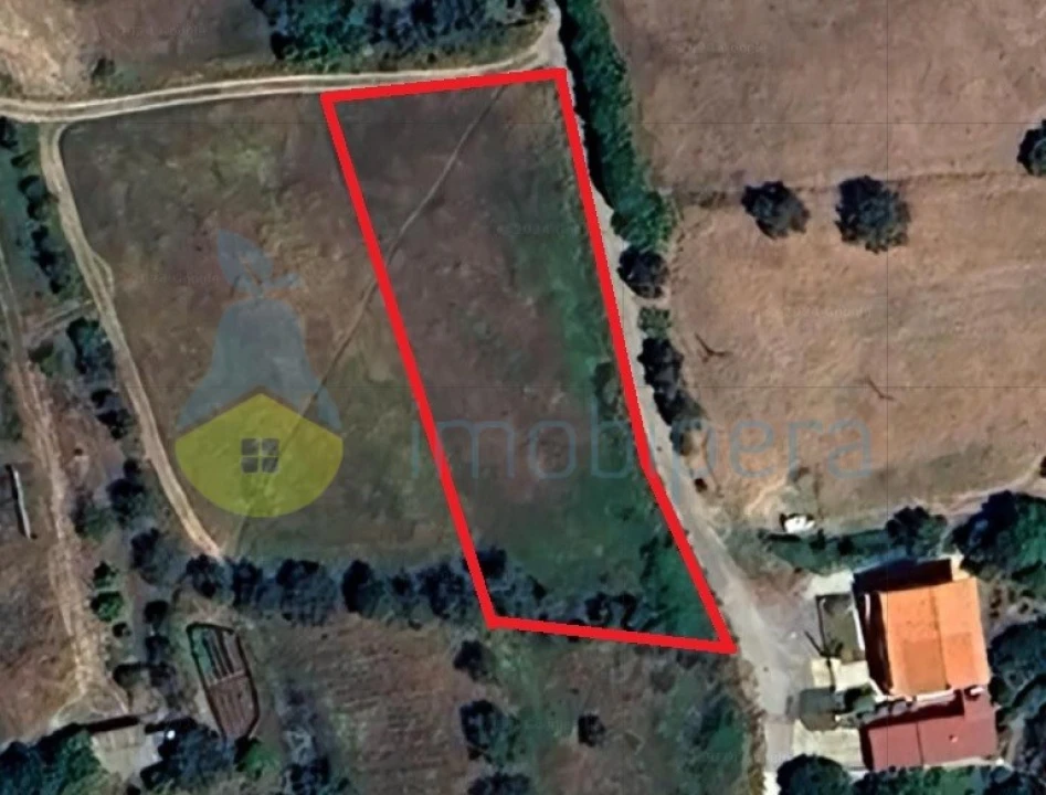 Terreno Agricola ou Rústico para Venda em Alte Foto 1