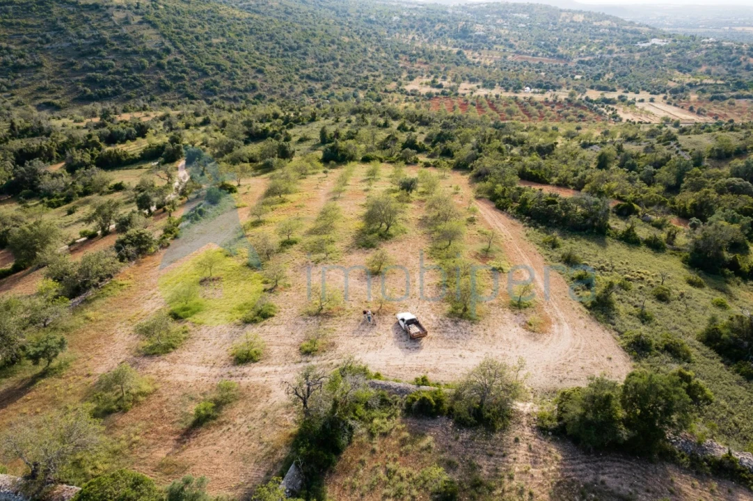 Terreno Agricola ou Rústico para Venda em Paderne Foto 1