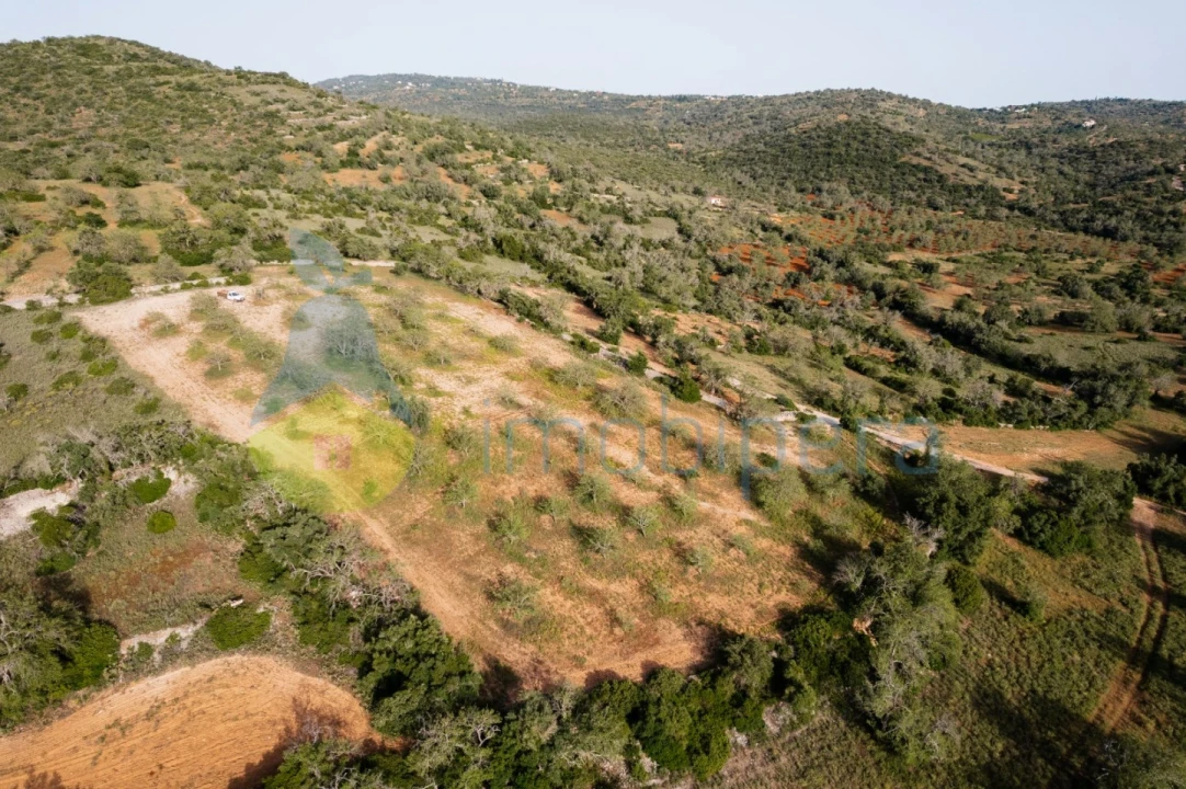 Terreno Agricola ou Rústico para Venda em Paderne Foto 9