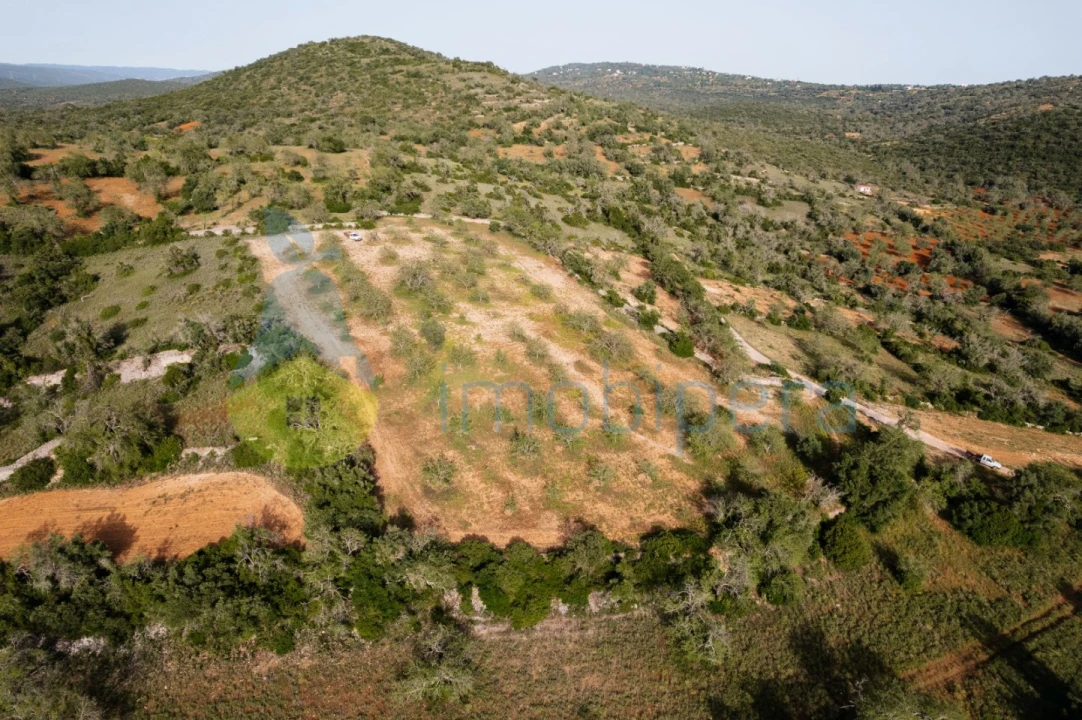 Terreno Agricola ou Rústico para Venda em Paderne Foto 10