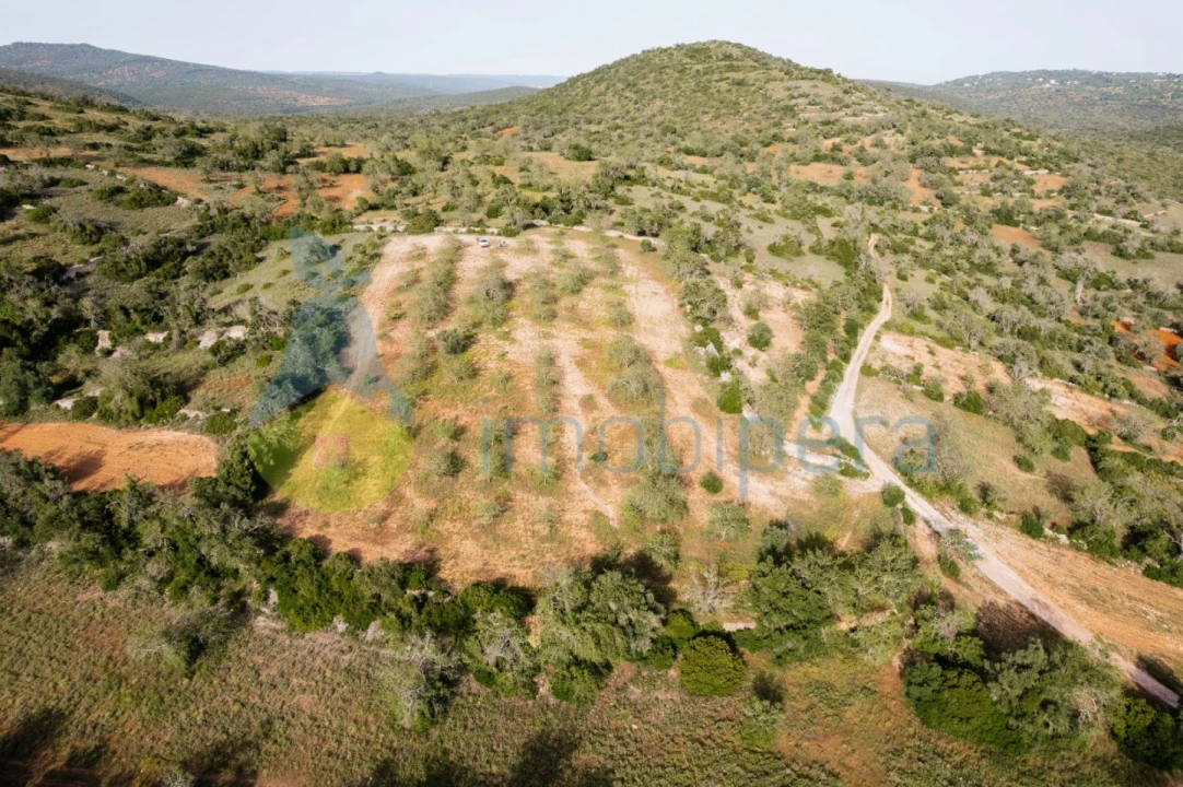 Terreno Agricola ou Rústico para Venda em Paderne Foto 11
