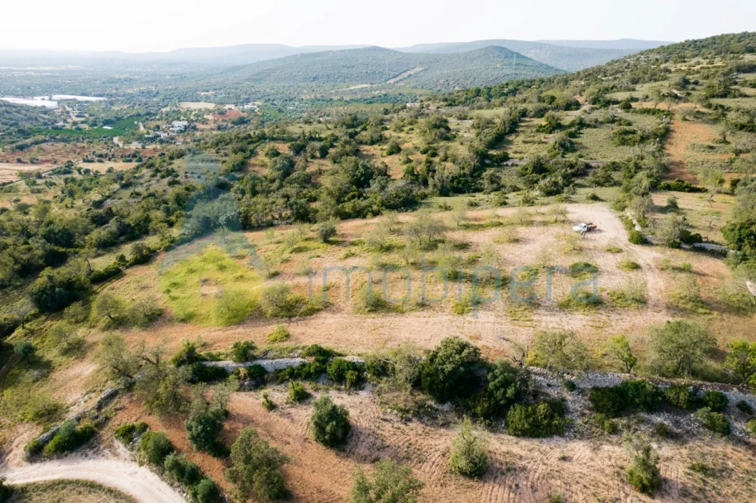 Terreno Agricola ou Rústico para Venda em Paderne Foto 17