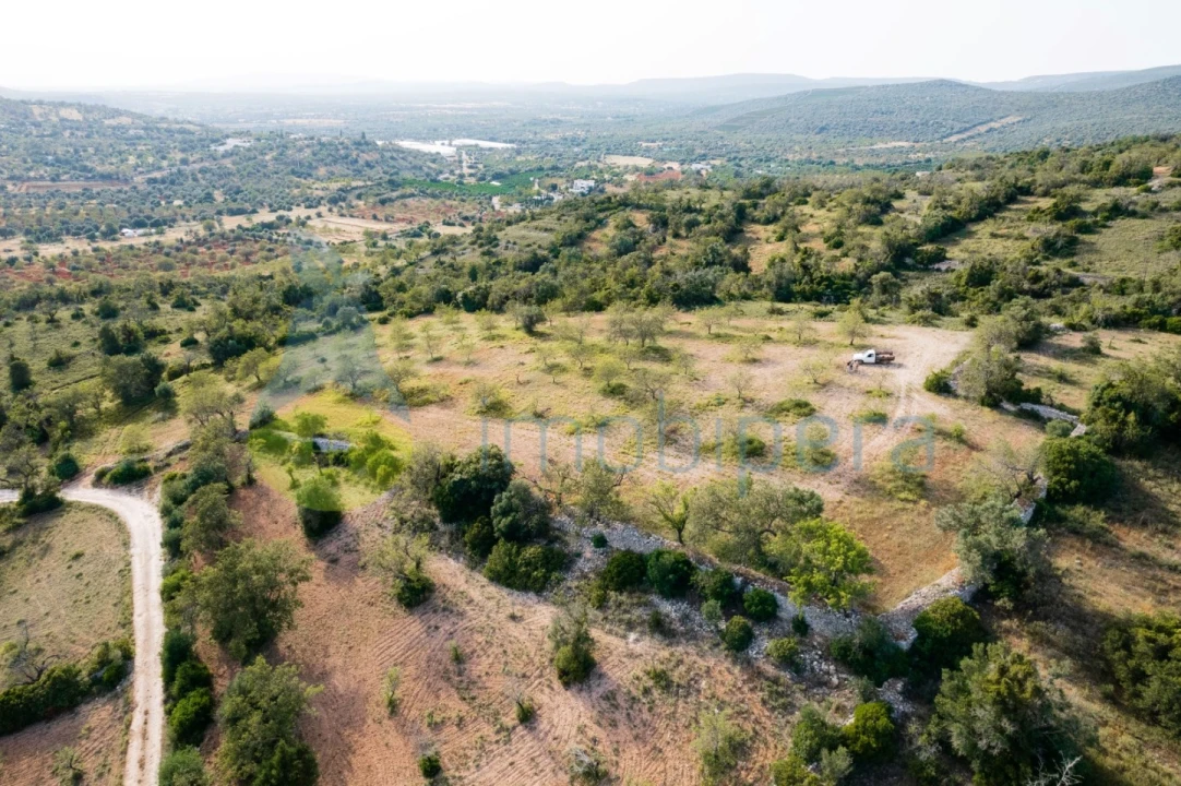 Terreno Agricola ou Rústico para Venda em Paderne Foto 18