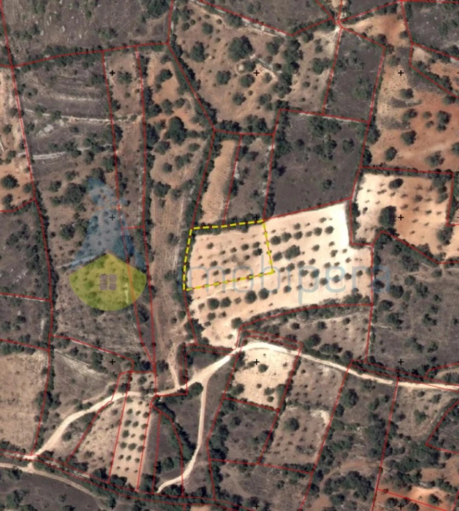 Terreno Agricola ou Rústico para Venda em Paderne Foto 3