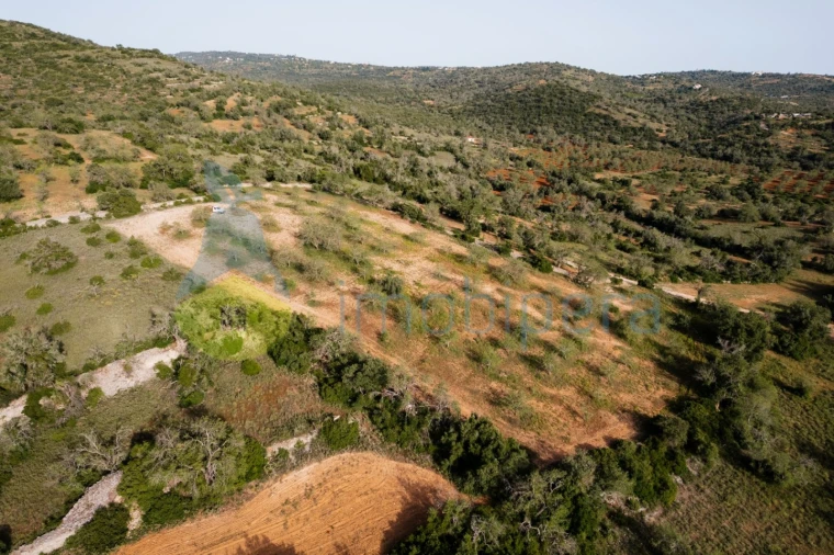 Terreno Agricola ou Rústico para Venda em Paderne Foto 8