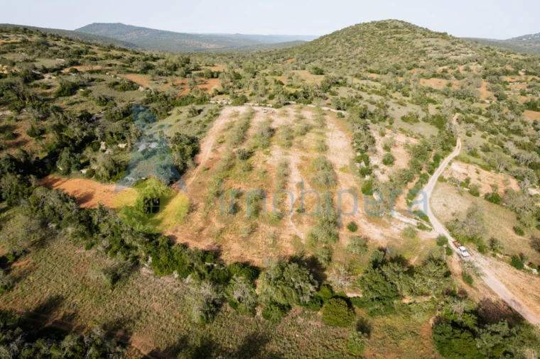 Terreno Agricola ou Rústico para Venda em Paderne Foto 13